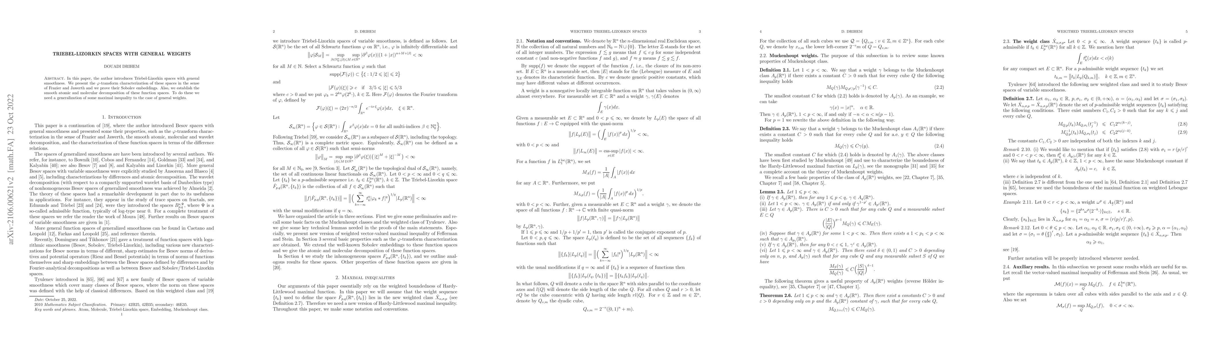 Thumbnail for Triebel-Lizorkin spaces with general weights
