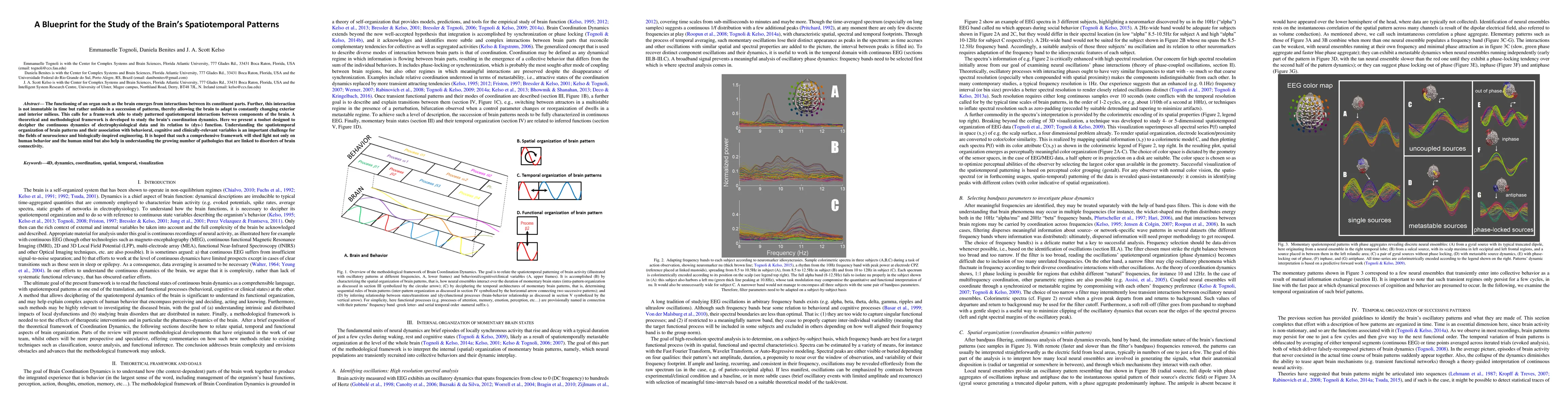 Thumbnail for A Blueprint for the Study of the Brain's Spatiotemporal Patterns
