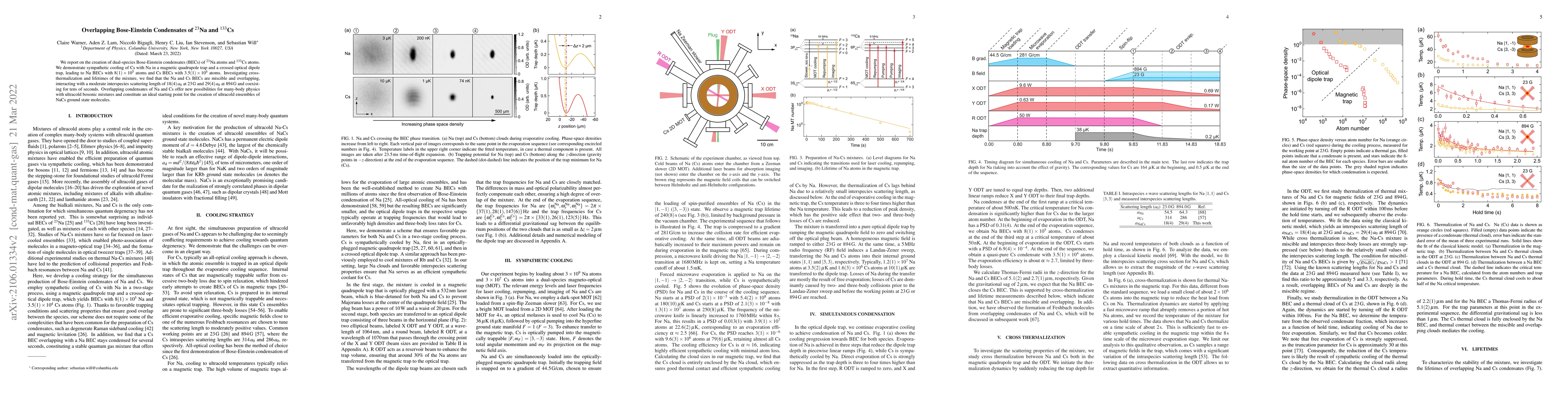 Thumbnail for Overlapping Bose-Einstein Condensates of $^{23}$Na and $^{133}$Cs