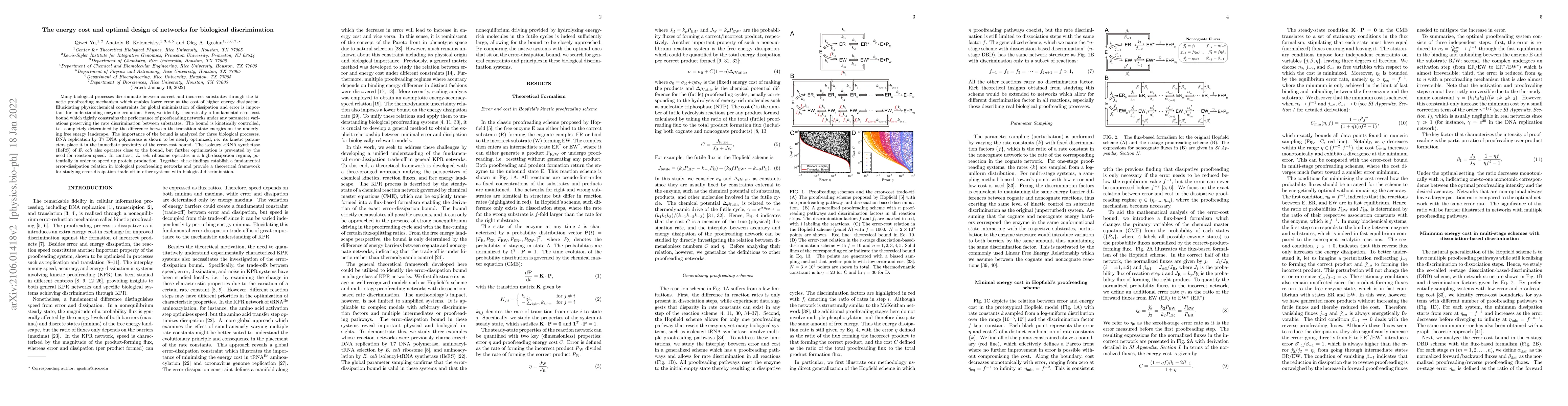 Thumbnail for The energy cost and optimal design of networks for biological
  discrimination