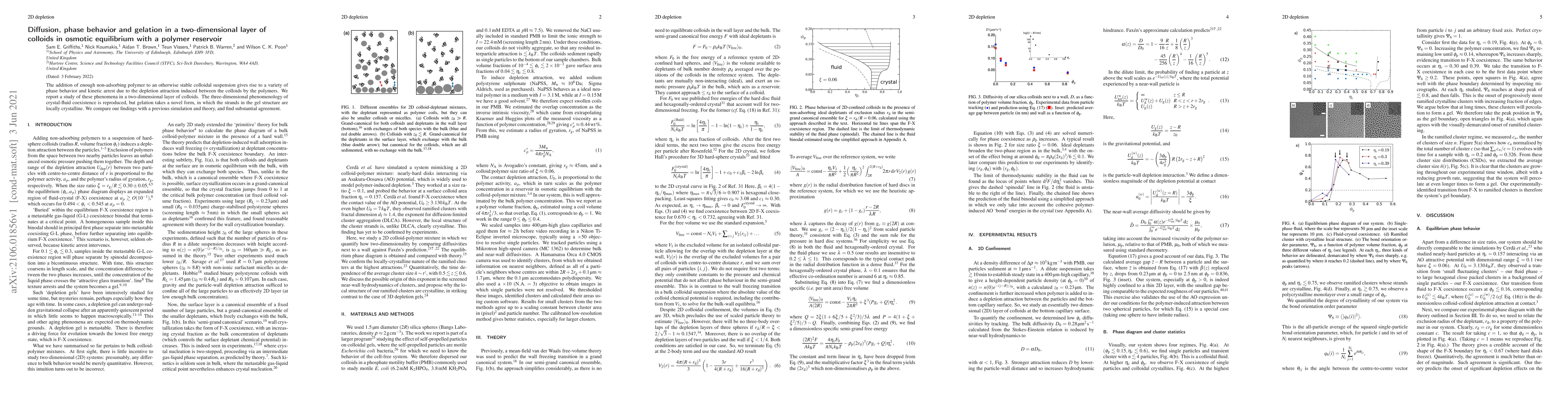 Thumbnail for Diffusion, phase behavior and gelation in a two-dimensional layer of
  colloids in osmotic equilibrium with a polymer reservoir