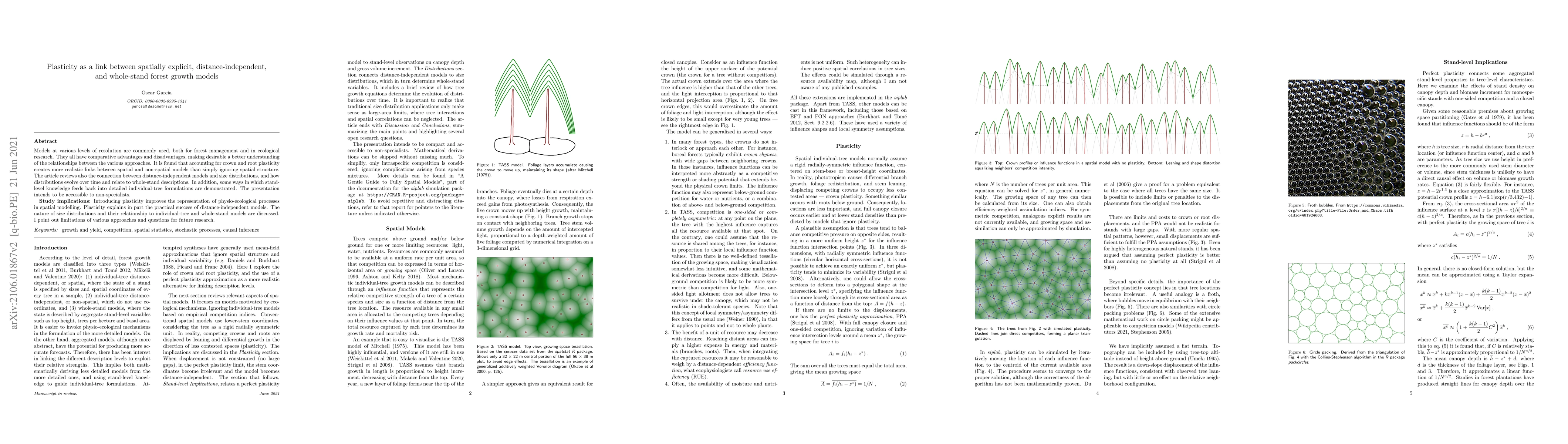 Thumbnail for Plasticity as a link between spatially explicit, distance-independent,
  and whole-stand forest growth models