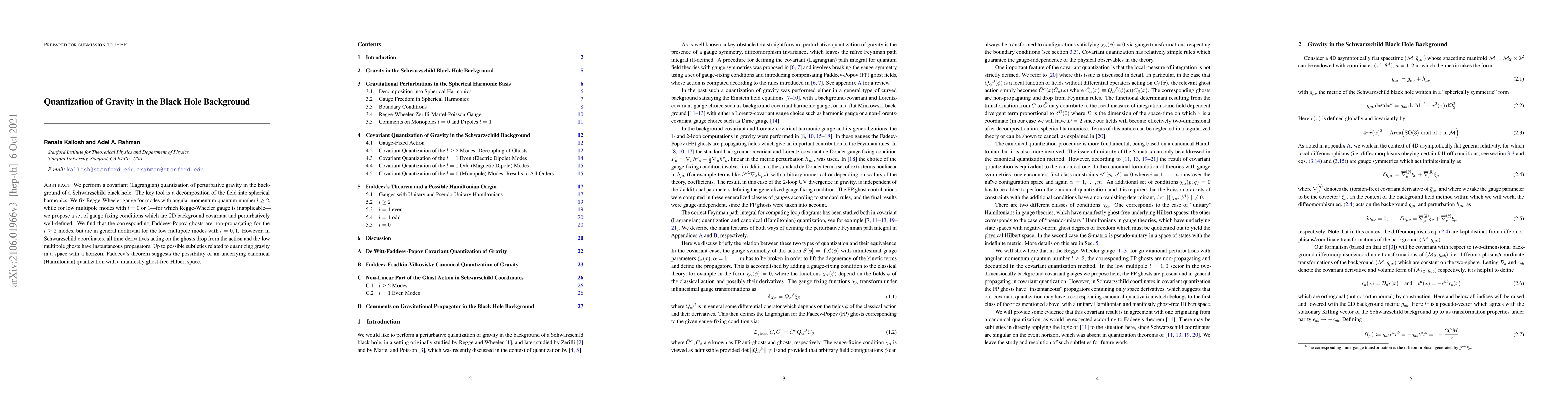 Thumbnail for Quantization of Gravity in the Black Hole Background