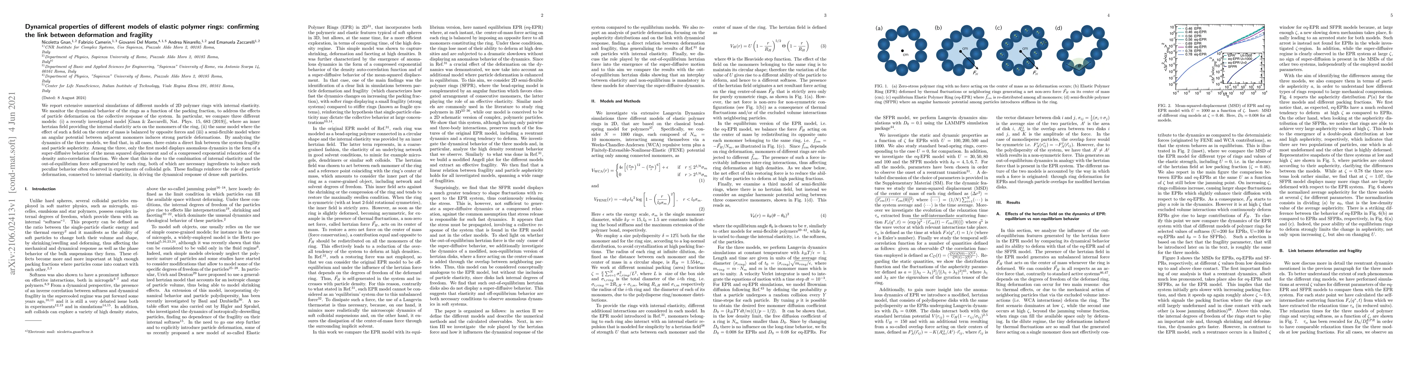 Thumbnail for Dynamical properties of different models of elastic polymer rings:
  confirming the link between deformation and fragility