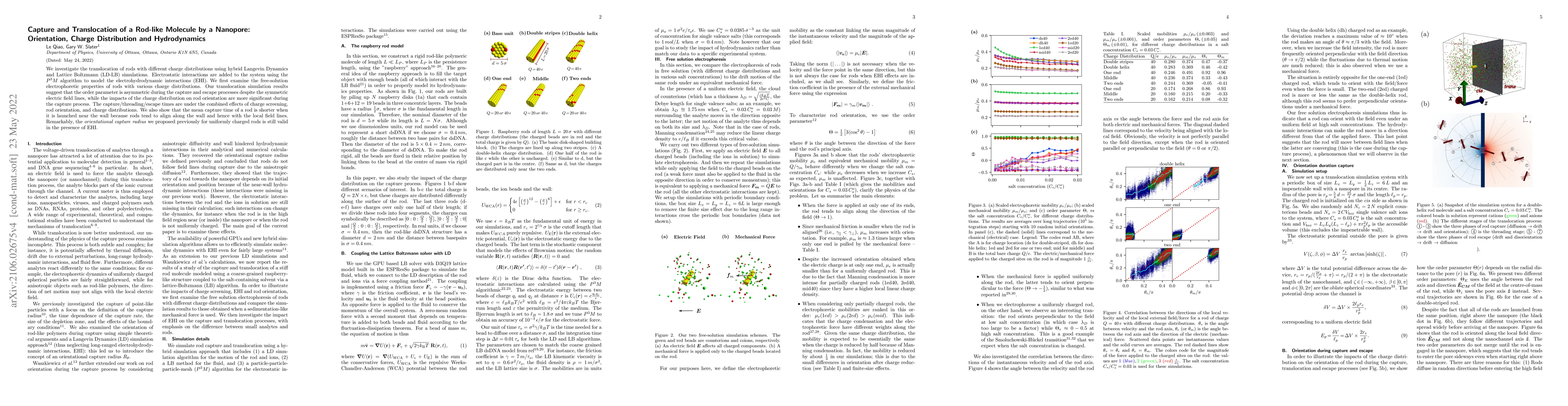 Thumbnail for Capture and translocation of a rod-like molecule by a nanopore:
  orientation, charge distribution and hydrodynamics