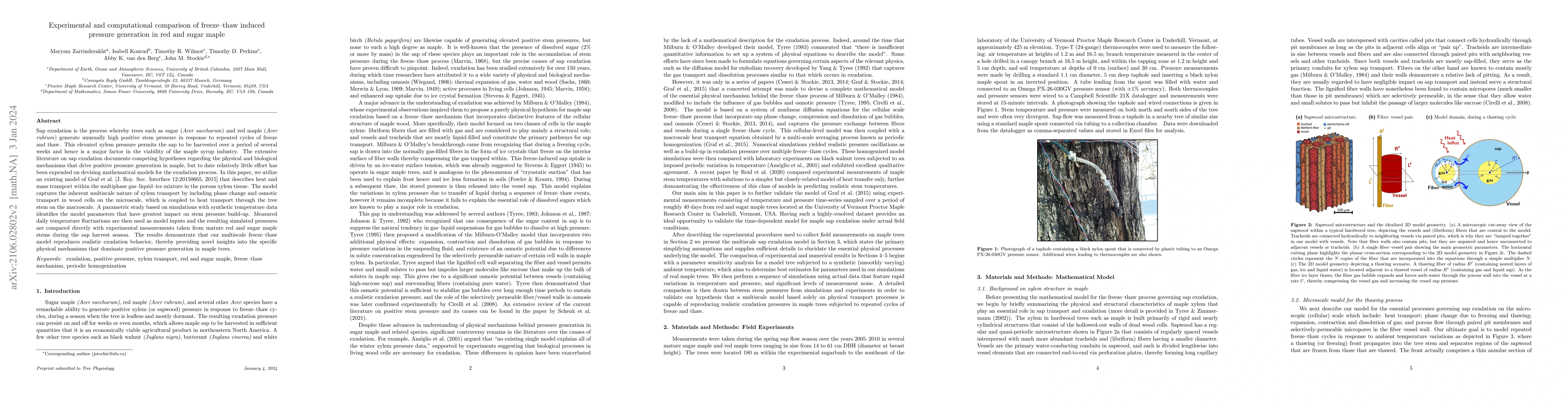Thumbnail for Experimental and computational comparison of freeze-thaw induced
  pressure generation in red and sugar maple