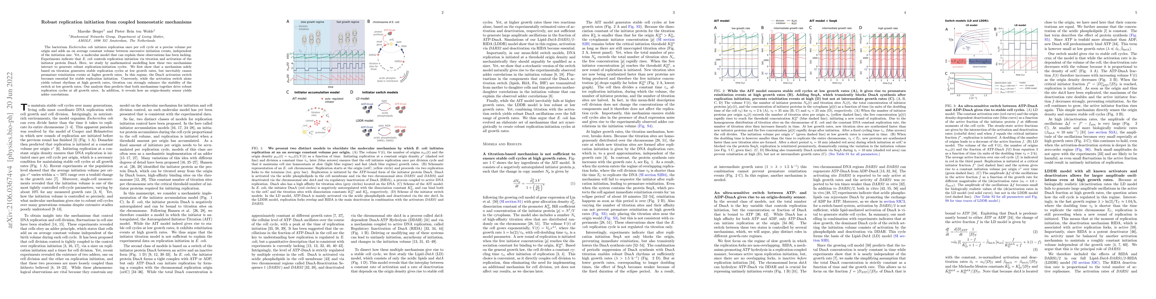 Thumbnail for Robust replication initiation from coupled homeostatic mechanisms