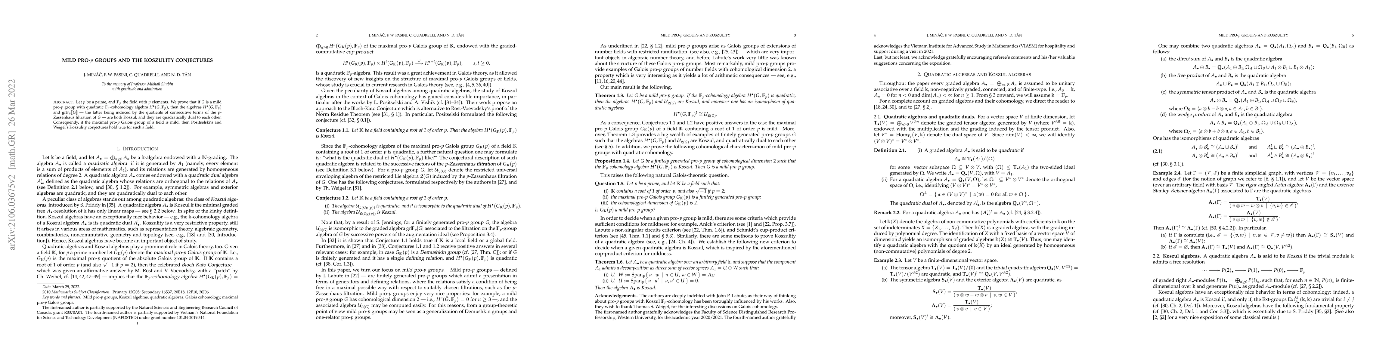 Thumbnail for Mild pro-p groups and the Koszulity conjectures