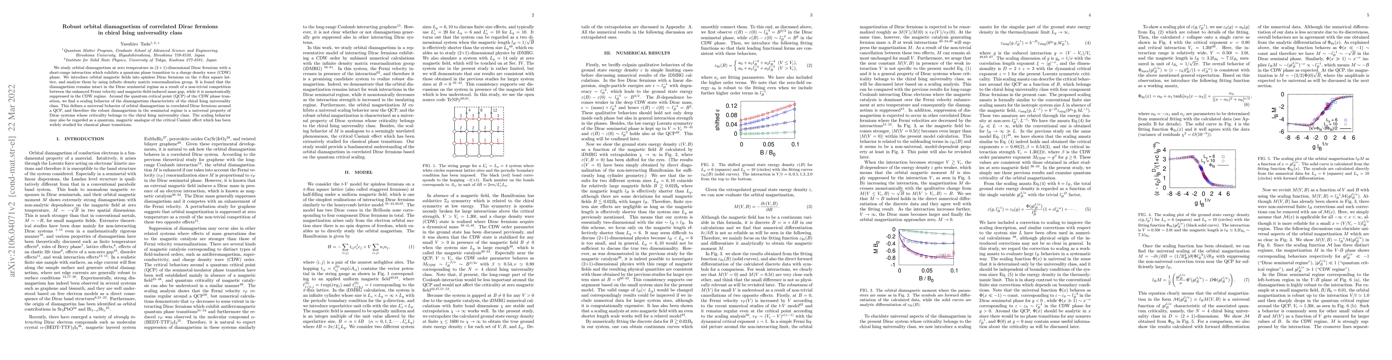 Thumbnail for Robust orbital diamagnetism of correlated Dirac fermions in chiral Ising
  universality class