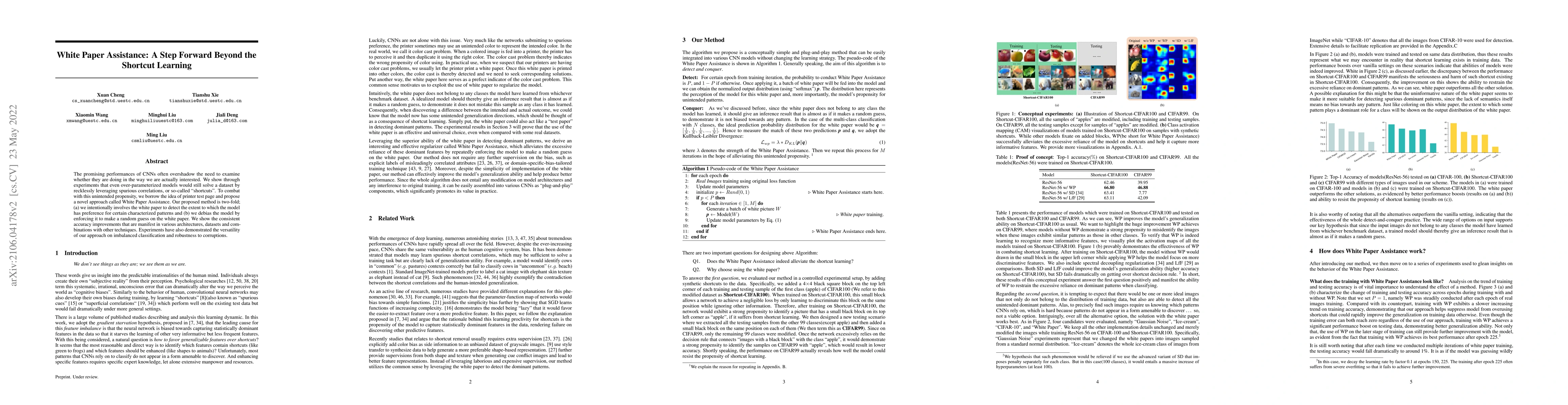 Thumbnail for White Paper Assistance: A Step Forward Beyond the Shortcut Learning