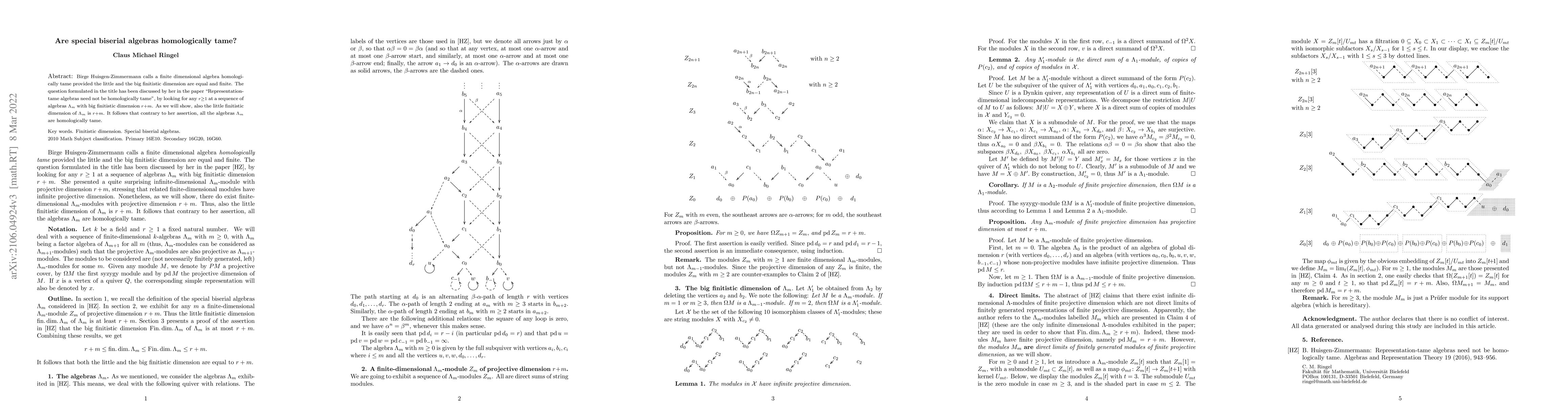 Thumbnail for Are special biserial algebras homologically tame?