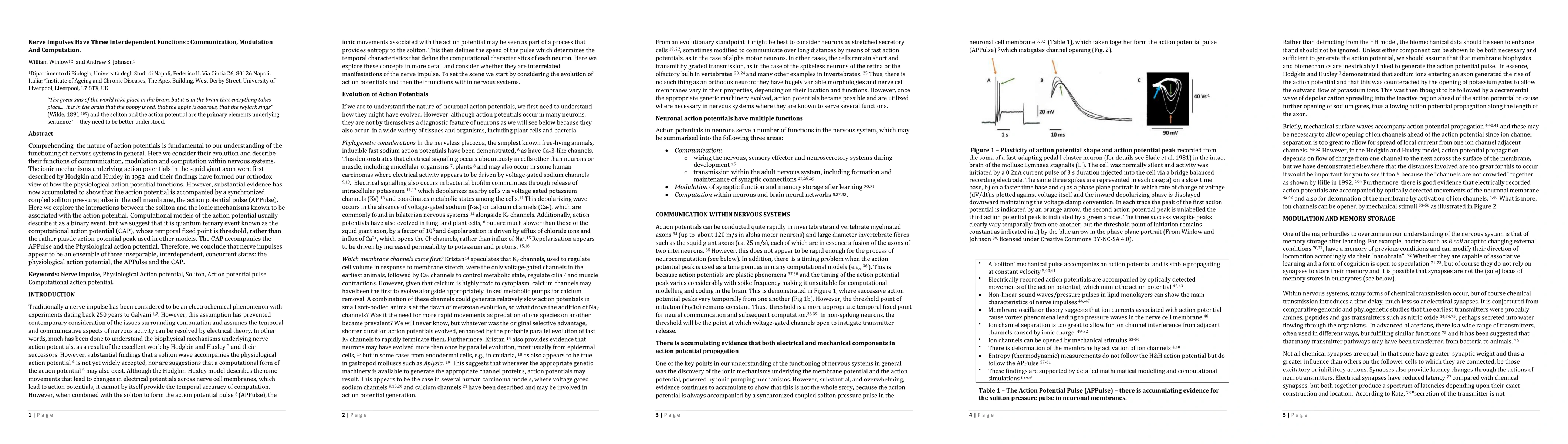 Thumbnail for Nerve Impulses Have Three Interdependent Functions: Communication,
  Modulation And Computation