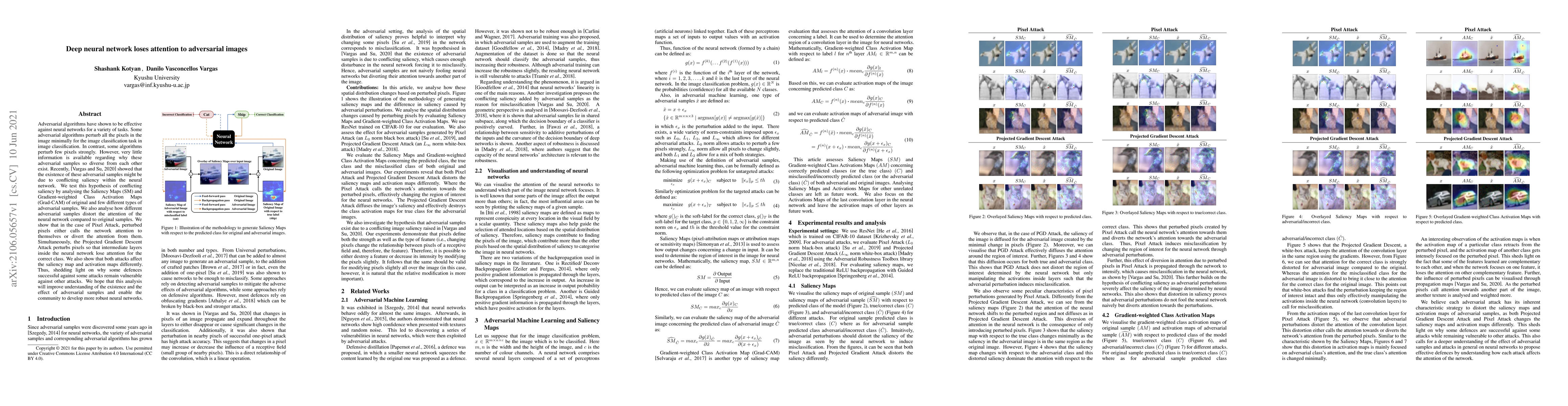 Thumbnail for Deep neural network loses attention to adversarial images