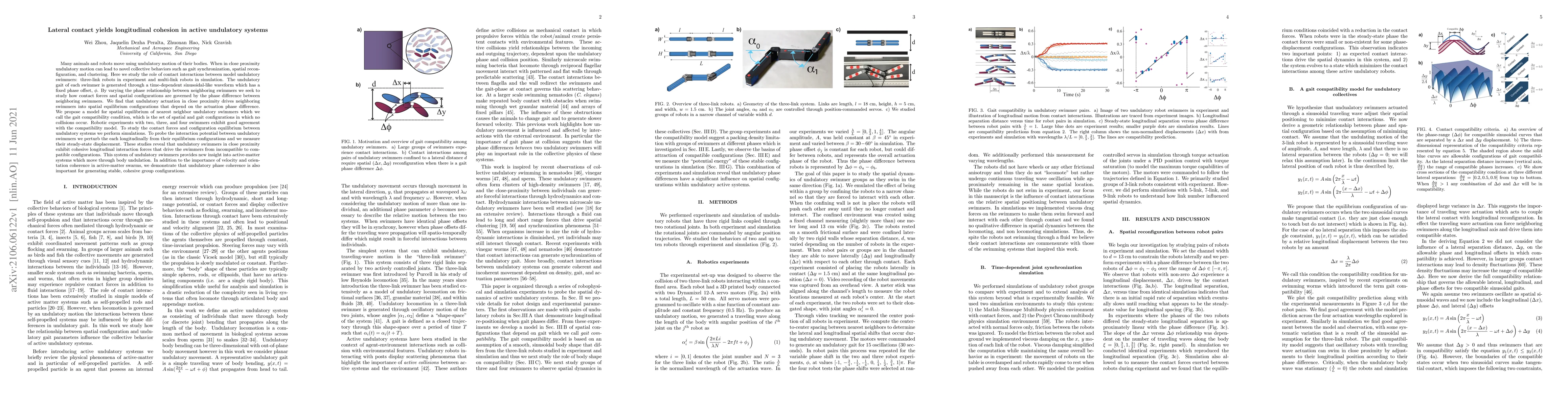 Thumbnail for Lateral contact yields longitudinal cohesion in active undulatory
  systems