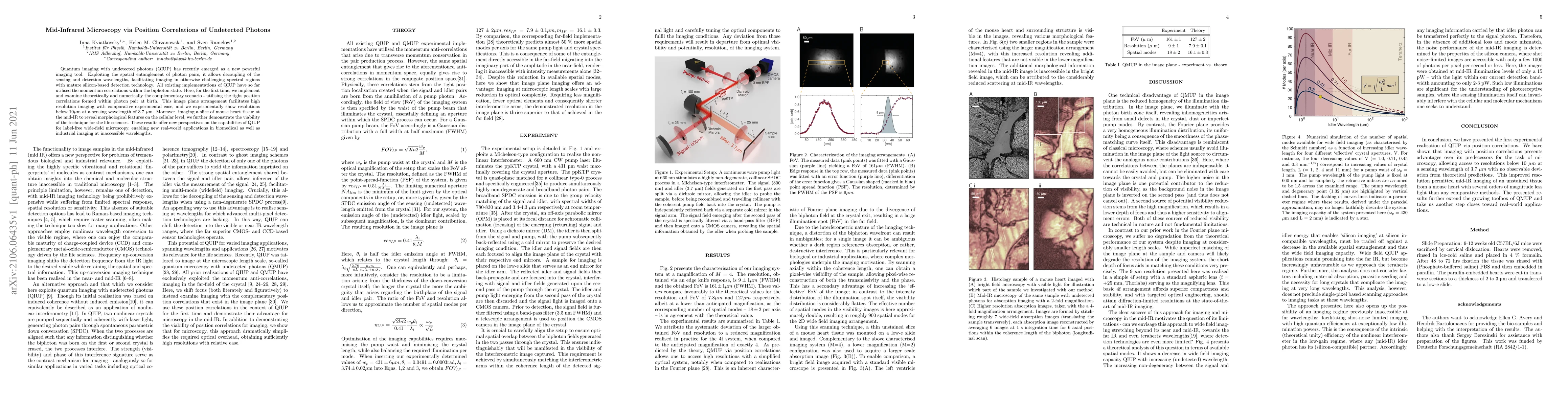 Thumbnail for Mid-Infrared Microscopy via Position Correlations of Undetected Photons