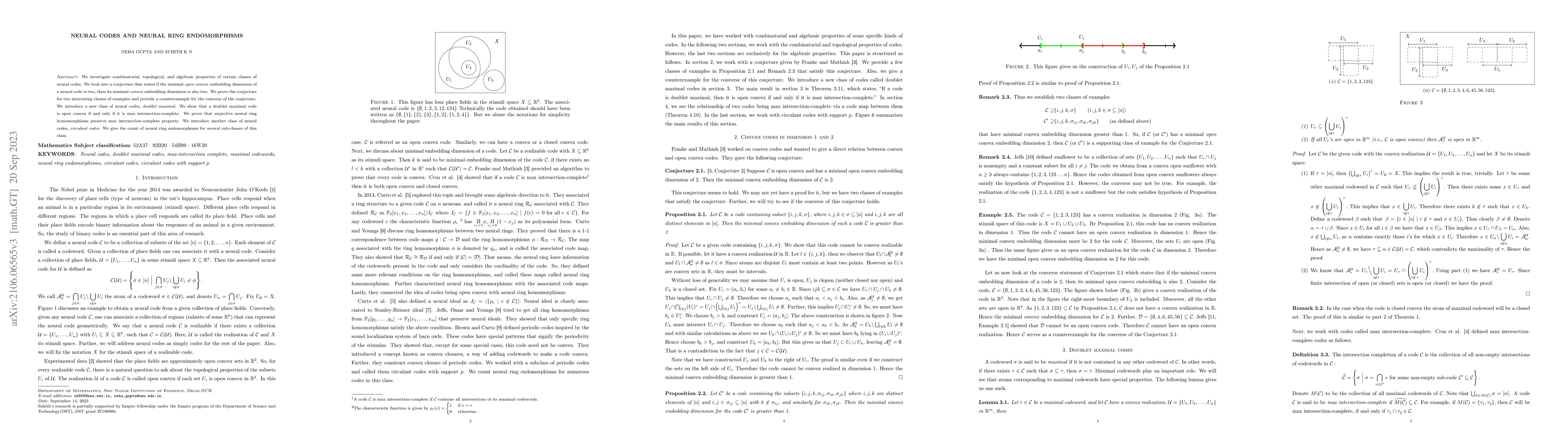 Thumbnail for Neural Codes and Neural ring endomorphisms