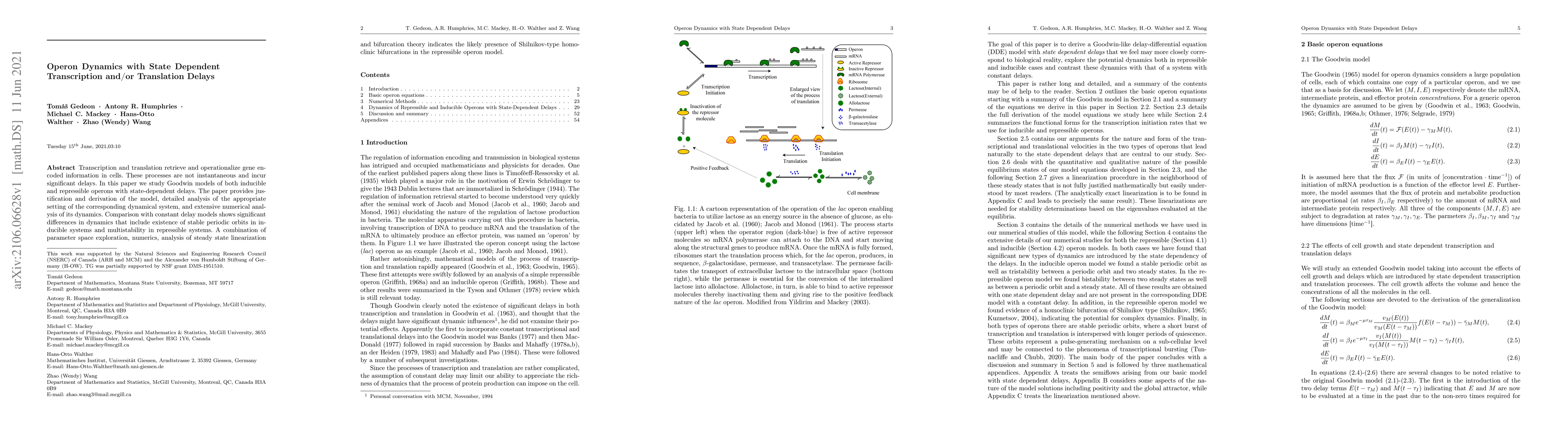 Thumbnail for Operon Dynamics with State Dependent Transcription and/or Translation
  Delays