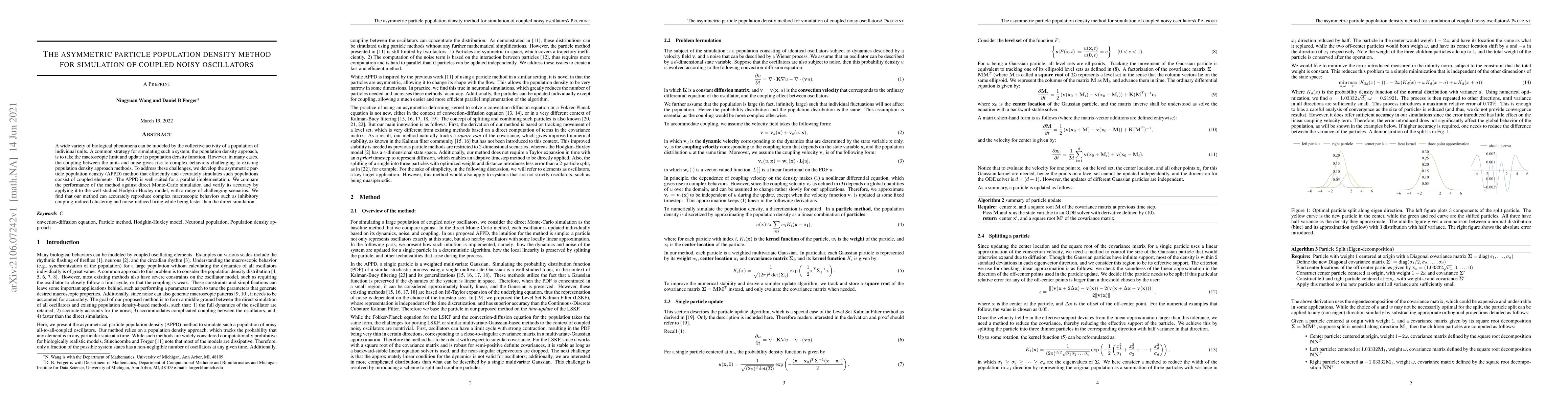 Thumbnail for The asymmetric particle population density method for simulation of
  coupled noisy oscillators