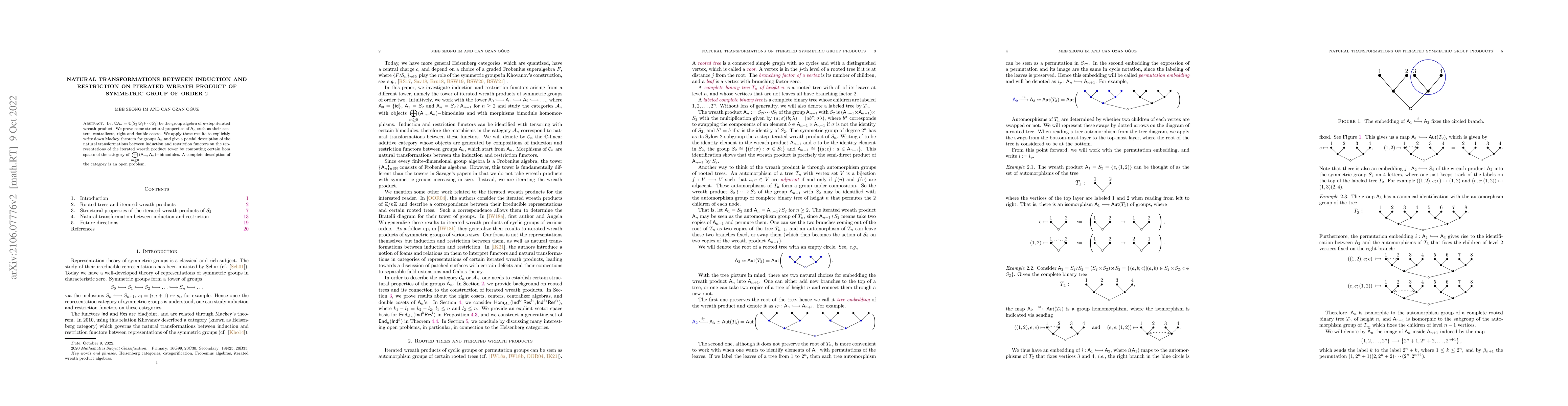 Thumbnail for Natural transformations between induction and restriction on iterated
  wreath product of symmetric group of order $2$