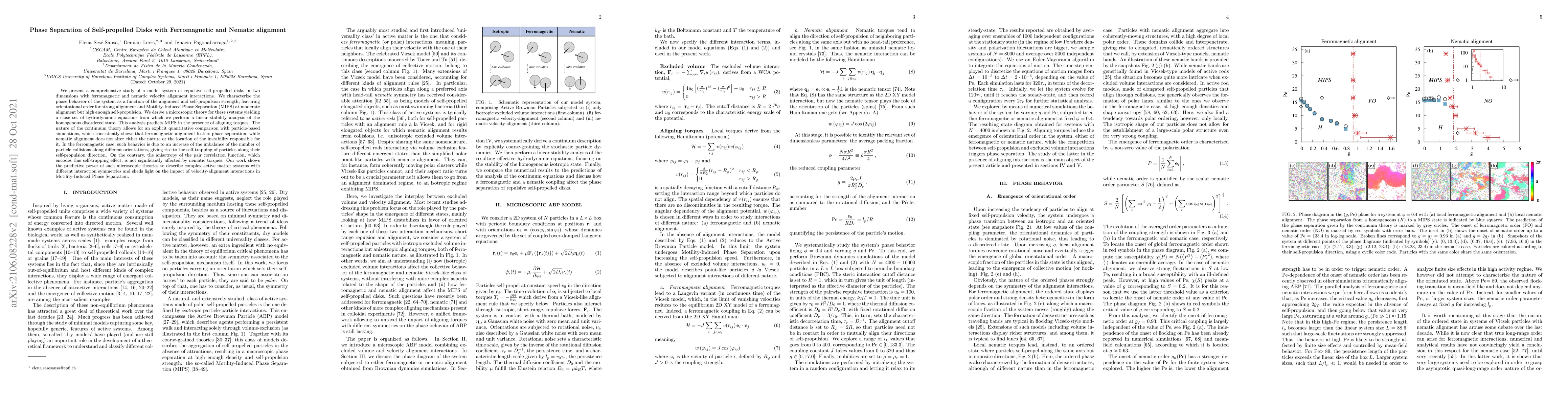 Thumbnail for Phase separation of self-propelled disks with ferromagnetic and nematic
  alignment