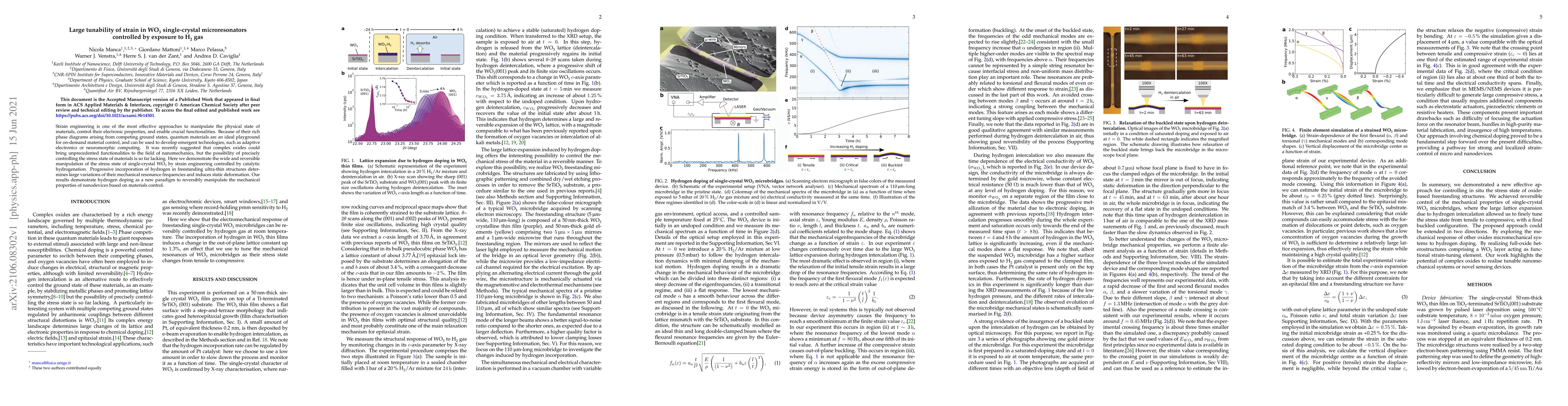 Thumbnail for Large tunability of strain in WO3 single-crystal microresonators
  controlled by exposure to H2 gas