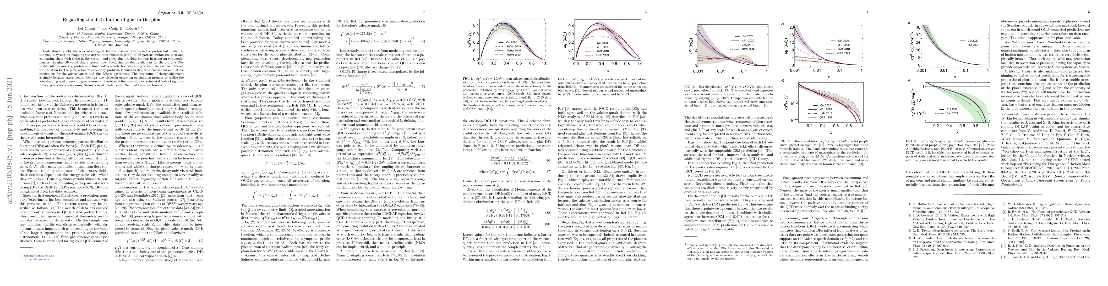 Thumbnail for Regarding the distribution of glue in the pion