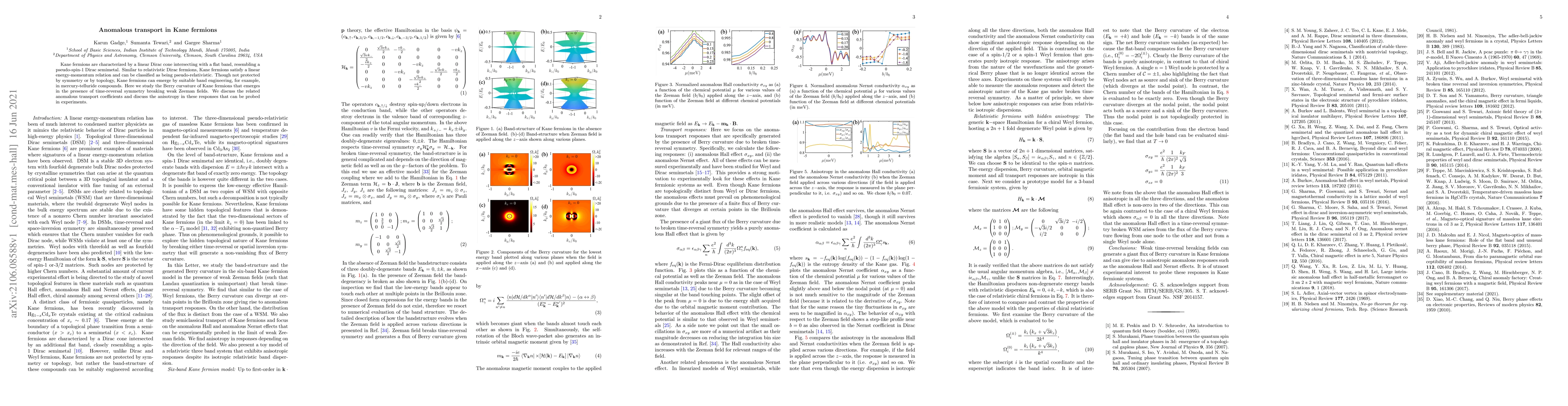 Thumbnail for Anomalous transport in Kane fermions
