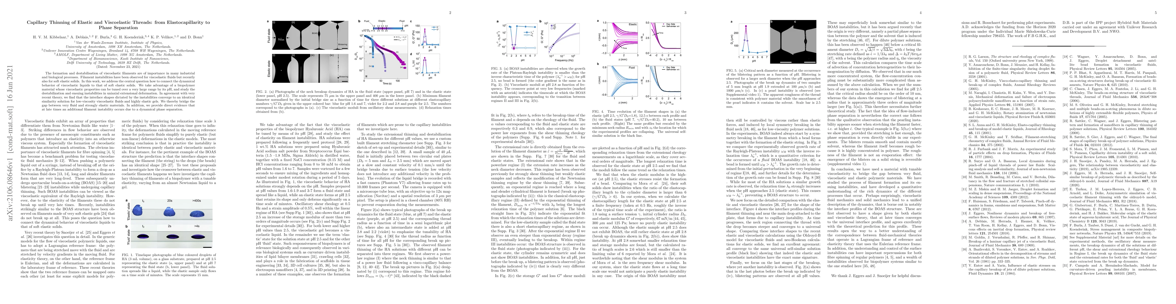 Thumbnail for Capillary Thinning of Elastic and Viscoelastic Threads: from
  Elastocapillarity to Phase Separation