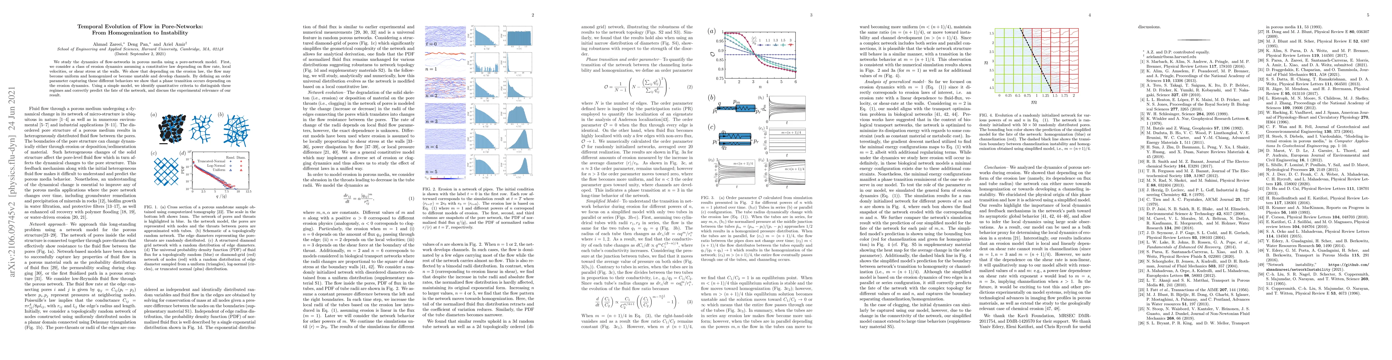 Thumbnail for Temporal Evolution of Flow in Pore-Networks: From Homogenization to
  Instability