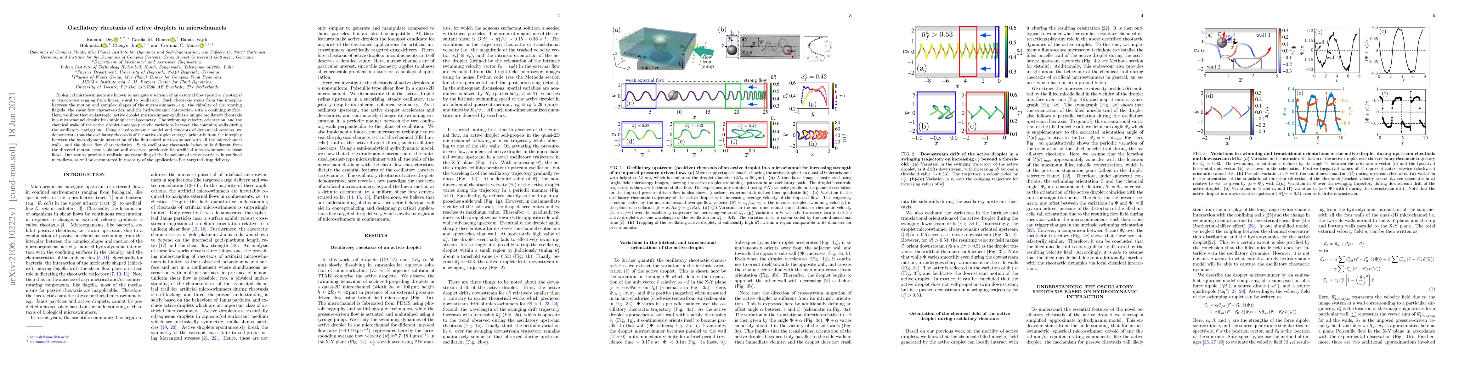 Thumbnail for Oscillatory rheotaxis of active droplets in microchannels