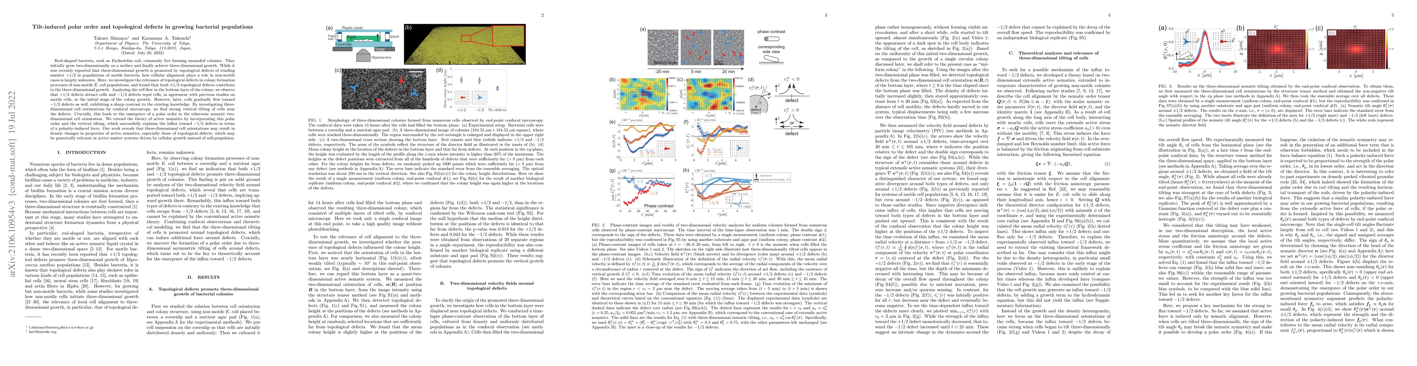 Thumbnail for Tilt-induced polar order and topological defects in growing bacterial
  populations