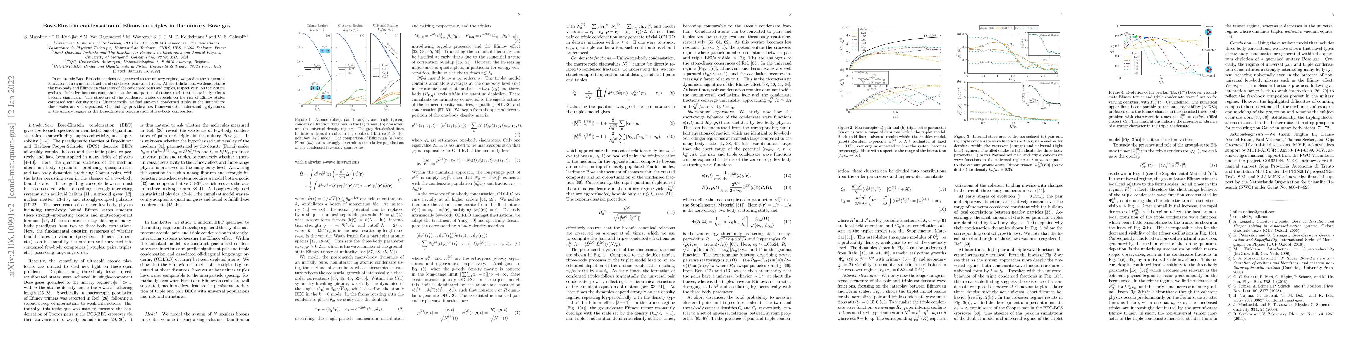 Thumbnail for Bose-Einstein condensation of Efimovian triples in the unitary Bose gas