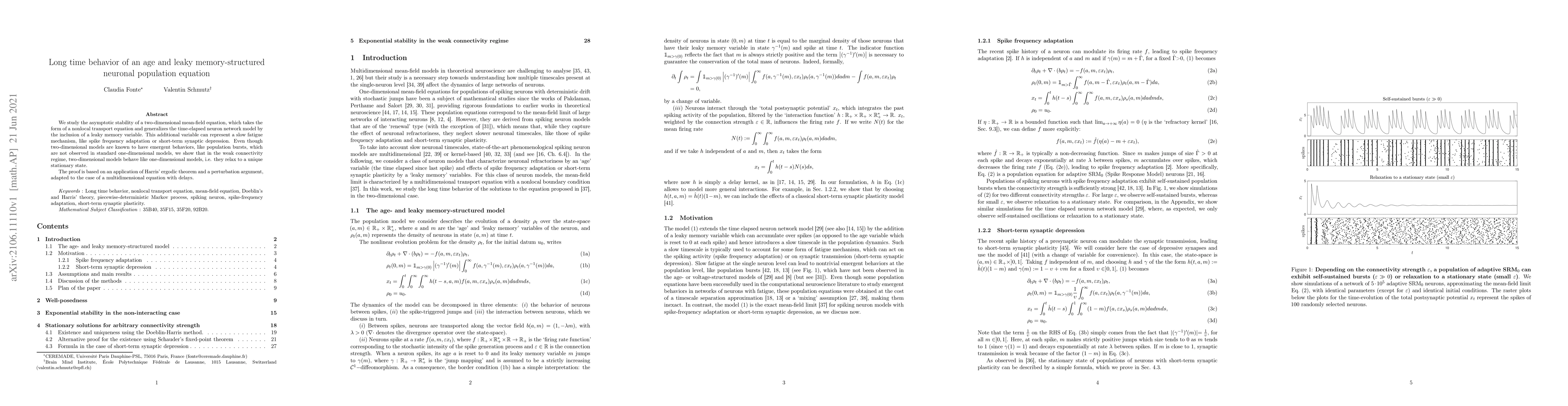 Thumbnail for Long time behavior of an age and leaky memory-structured neuronal
  population equation
