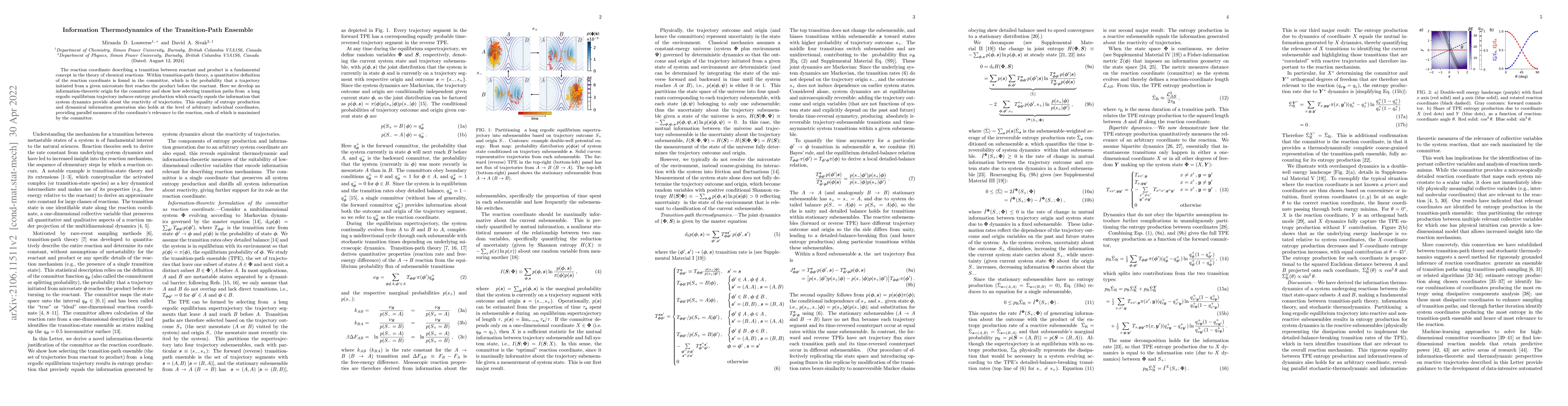 Thumbnail for Information Thermodynamics of the Transition-Path Ensemble