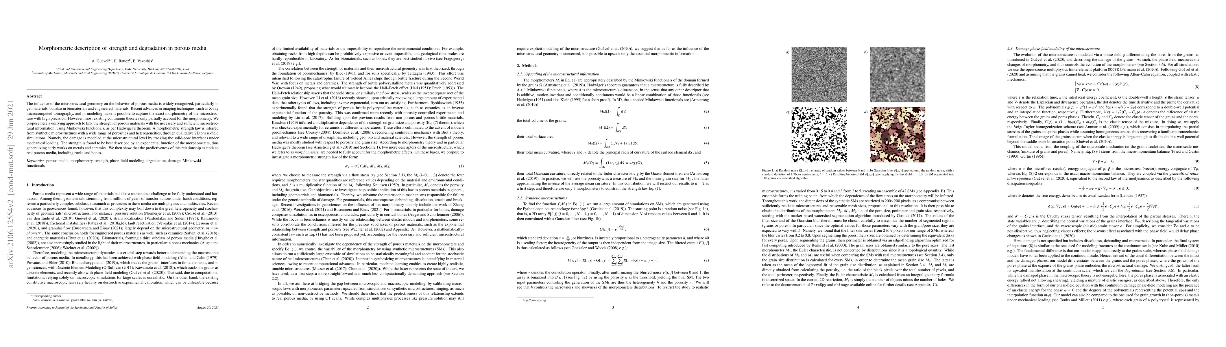 Thumbnail for Morphometric description of strength and degradation in porous media