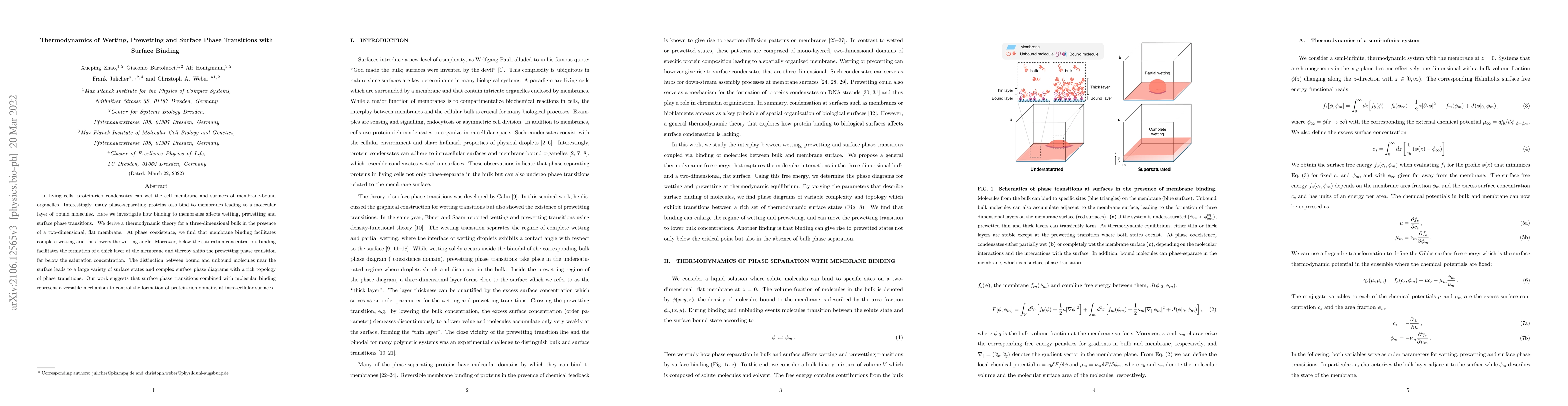 Thumbnail for Thermodynamics of Wetting, Prewetting and Surface Phase Transitions with
  Surface Binding