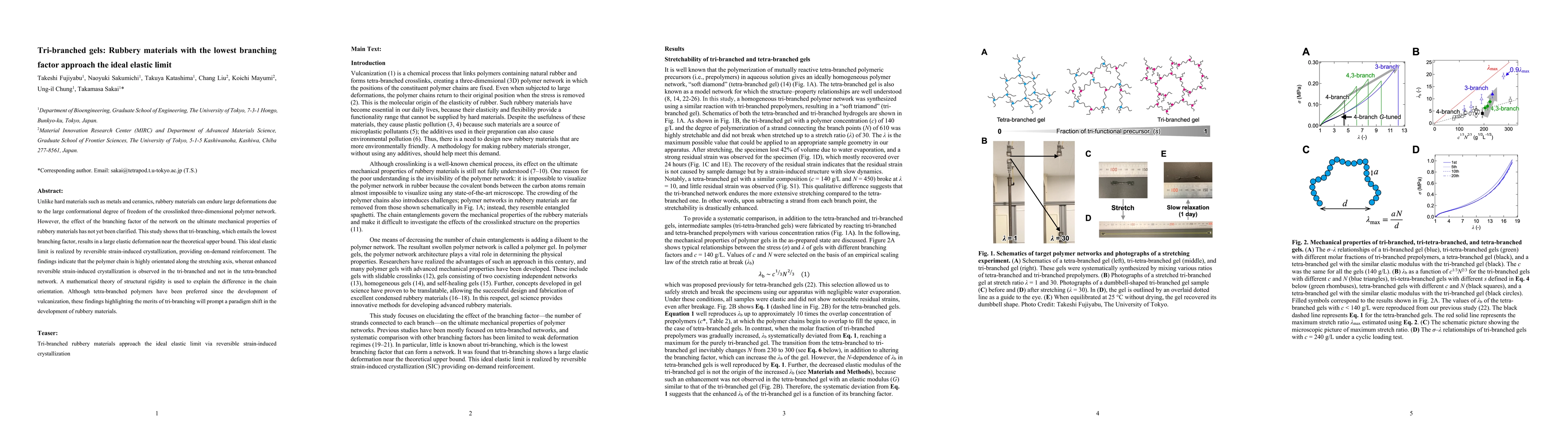 Thumbnail for Tri-branched gels: Rubbery materials with the lowest branching factor
  approach the ideal elastic limit