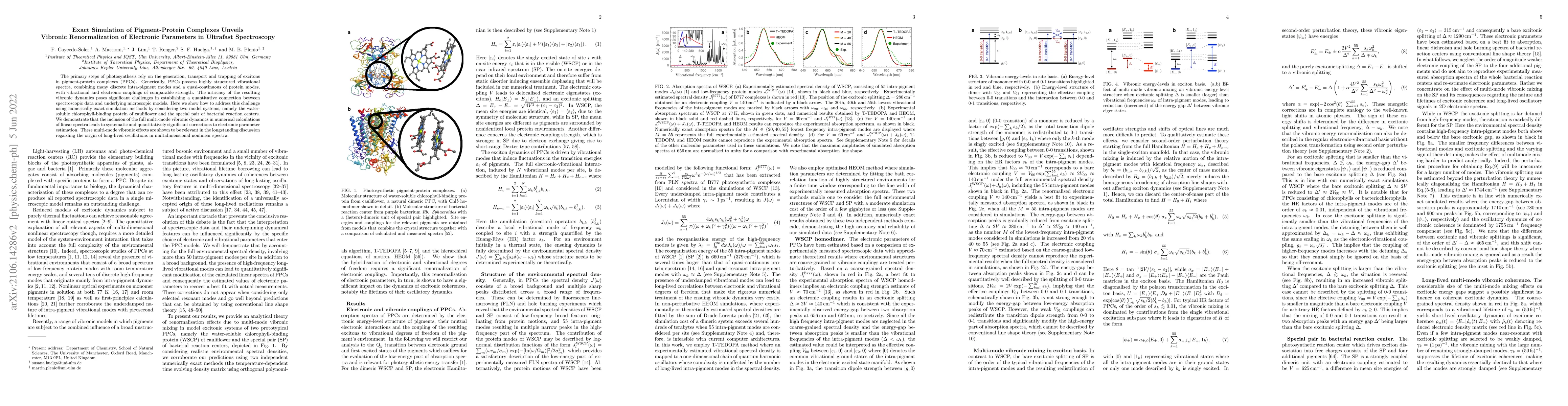 Thumbnail for Exact Simulation of Pigment-Protein Complexes Unveils Vibronic
  Renormalization of Electronic Parameters in Ultrafast Spectroscopy