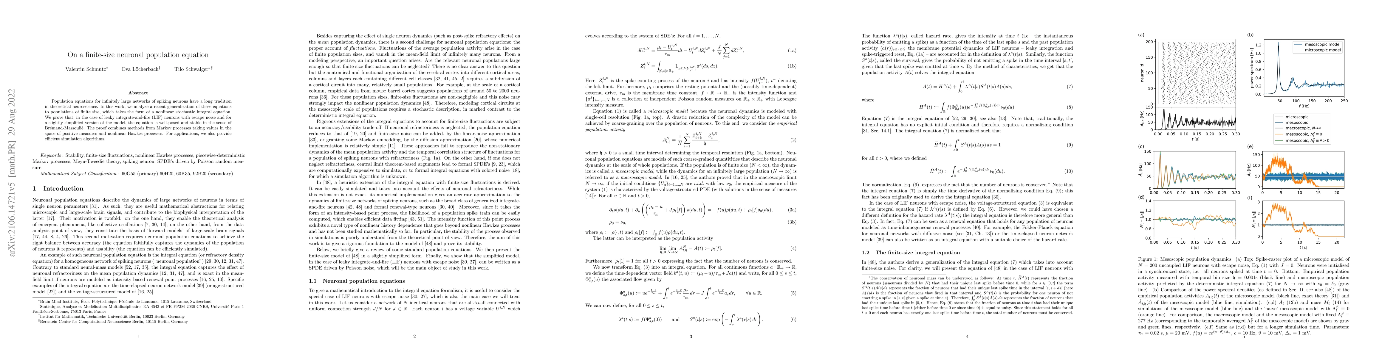 Thumbnail for On a finite-size neuronal population equation