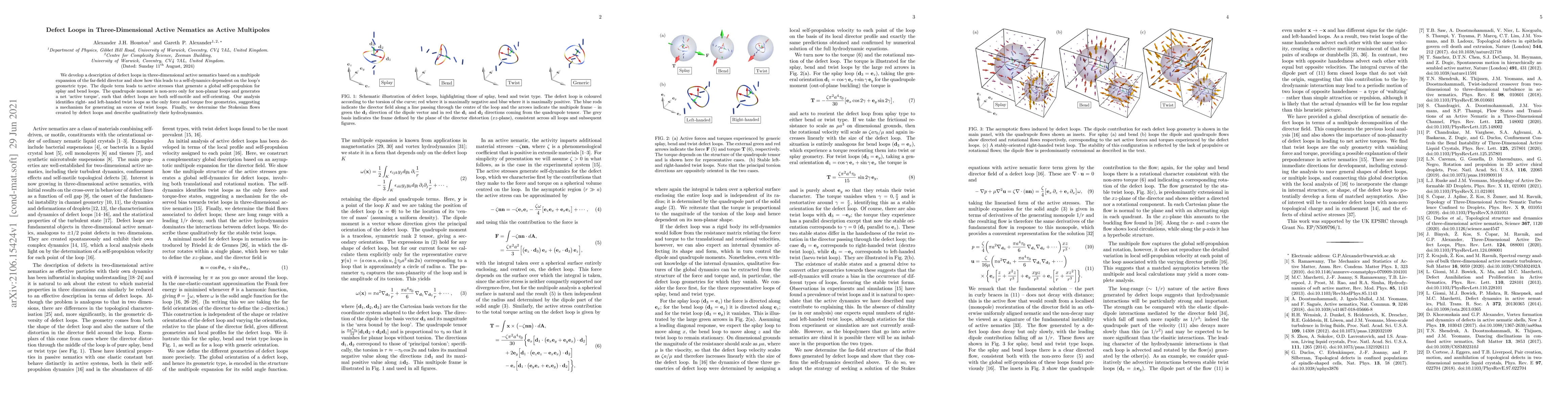 Thumbnail for Defect Loops in Three-Dimensional Active Nematics as Active Multipoles