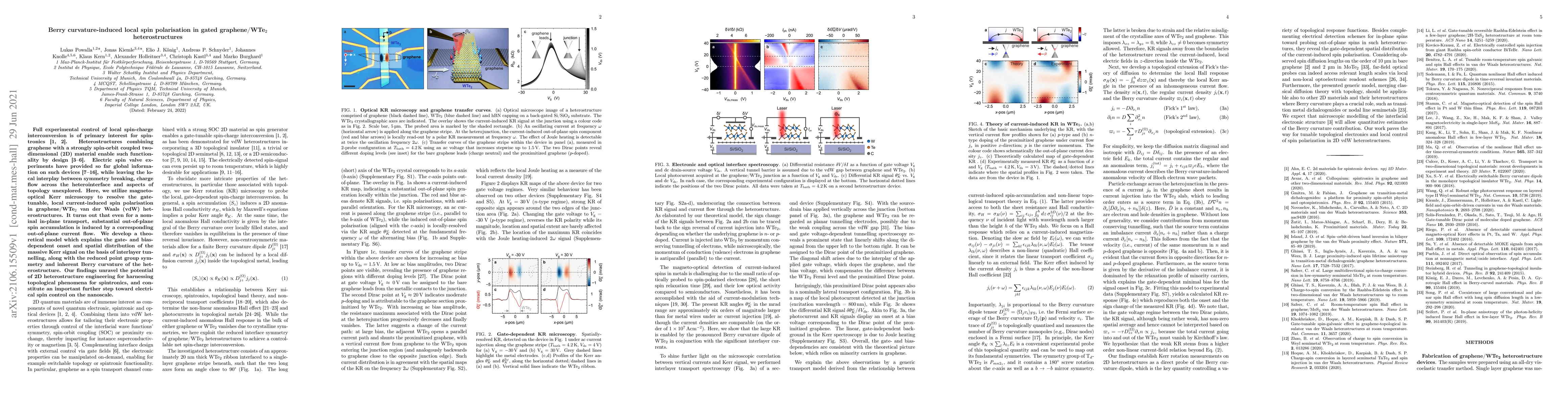 Thumbnail for Berry curvature-induced local spin polarisation in gated
  graphene/WTe$_2$ heterostructures