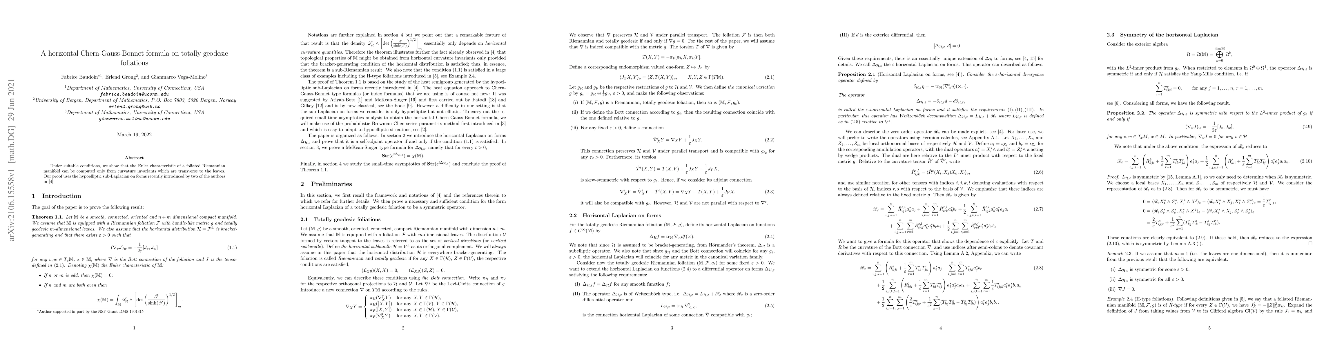 Thumbnail for A horizontal Chern-Gauss-Bonnet formula on totally geodesic foliations
