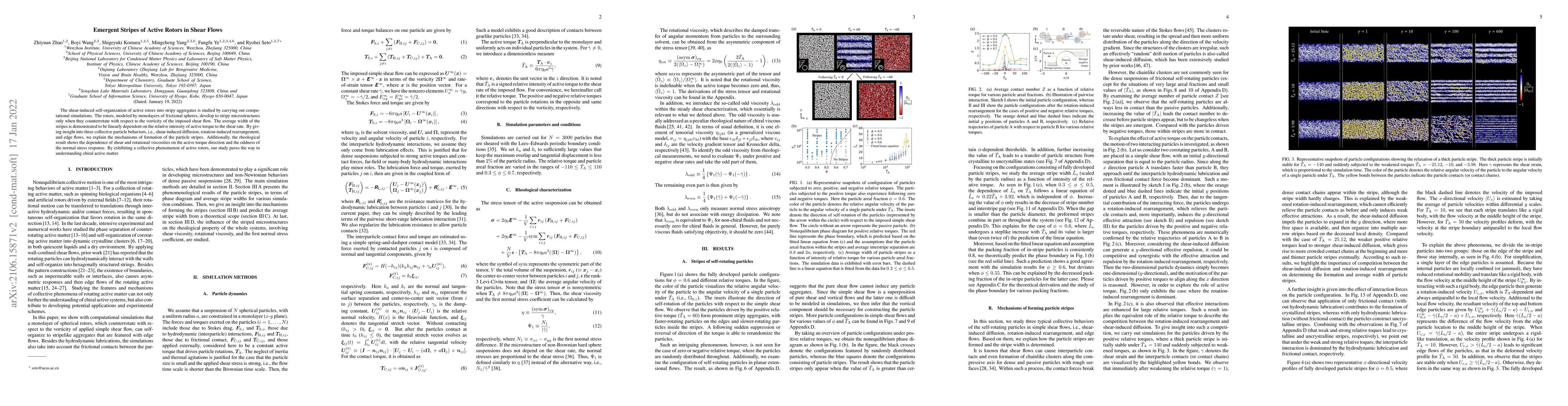 Thumbnail for Emergent Stripes of Active Rotors in Shear Flows
