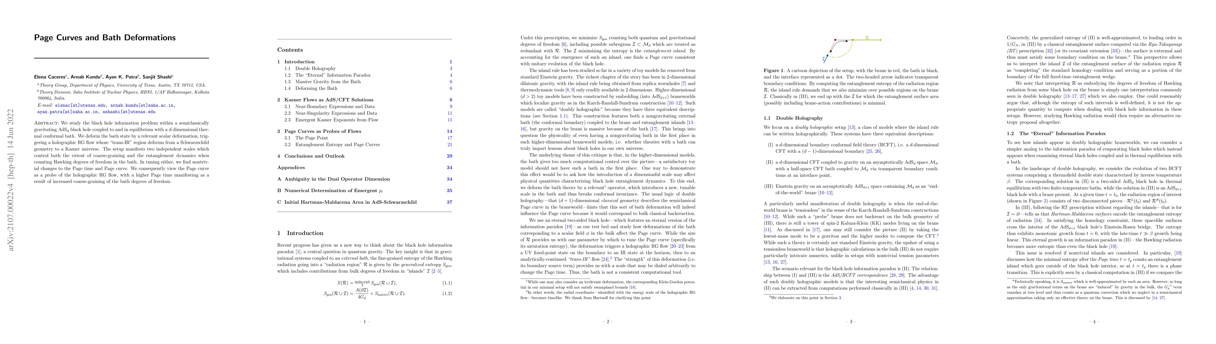 Thumbnail for Page Curves and Bath Deformations