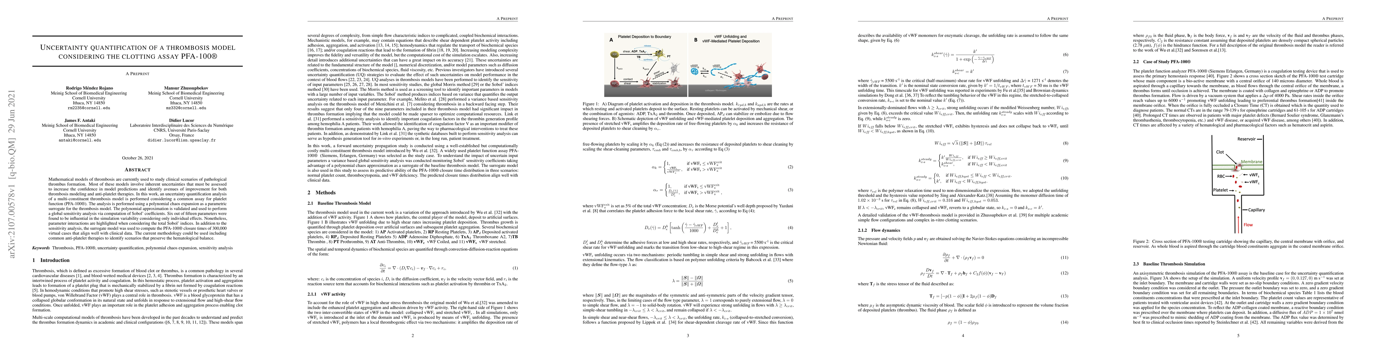 Thumbnail for Uncertainty quantification of a thrombosis model considering the
  clotting assay PFA-100