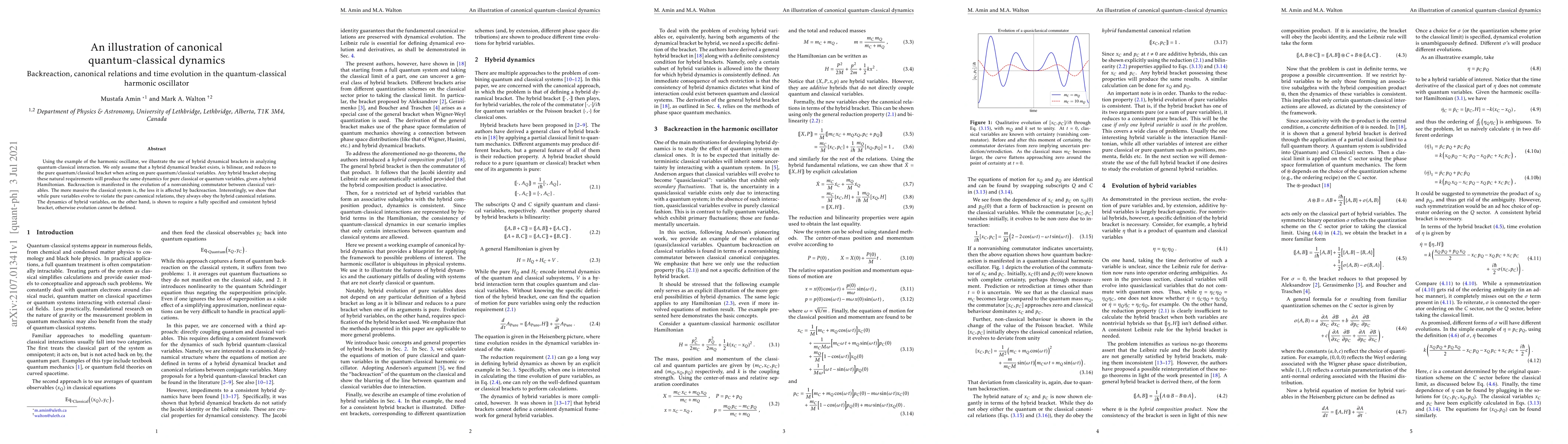 Thumbnail for An illustration of canonical quantum-classical dynamics