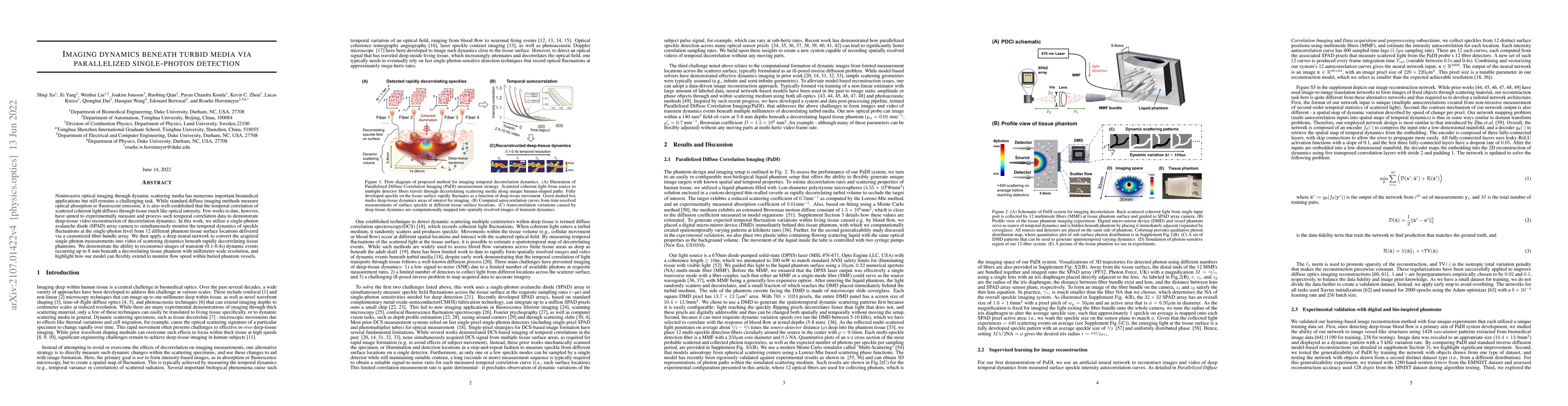 Thumbnail for Imaging dynamics beneath turbid media via parallelized single-photon
  detection