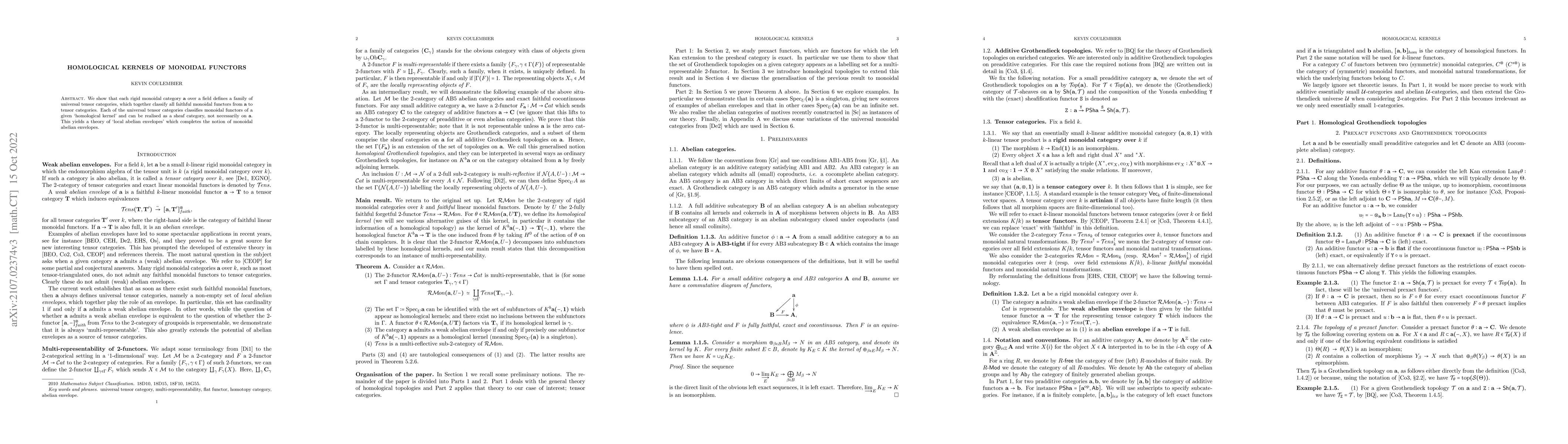 Thumbnail for Homological kernels of monoidal functors