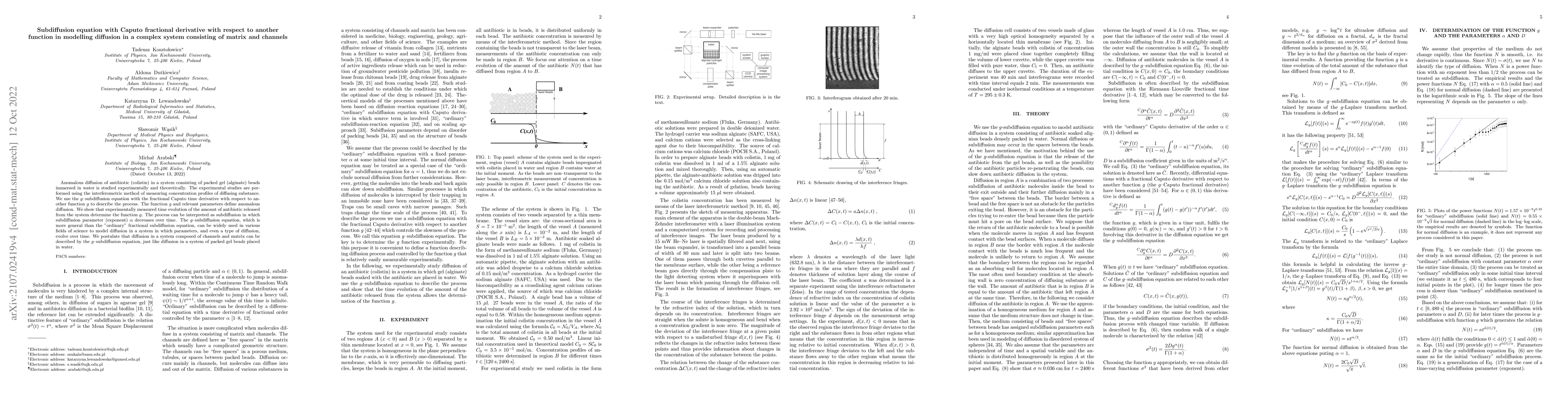 Thumbnail for Subdiffusion equation with Caputo fractional derivative with respect to
  another function in modelling diffusion in a complex system consisting of
  matrix and channels