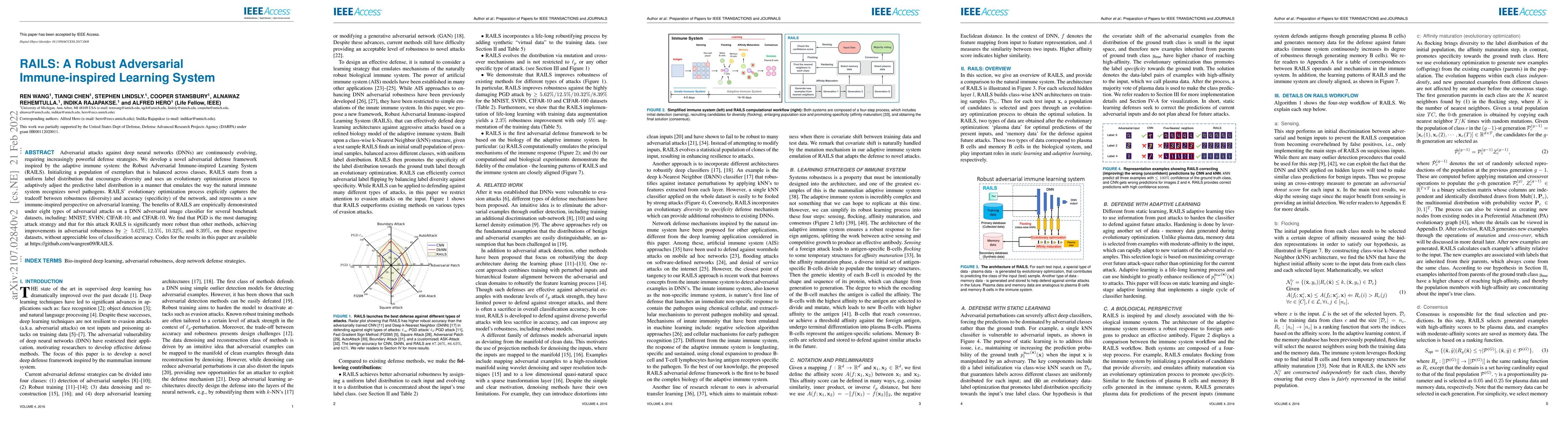 Thumbnail for RAILS: A Robust Adversarial Immune-inspired Learning System
